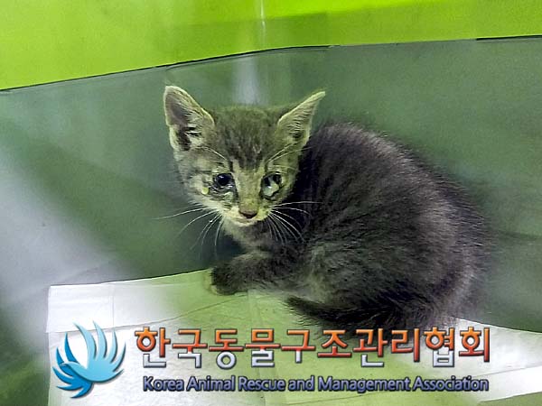 종료(자연사) 한국…